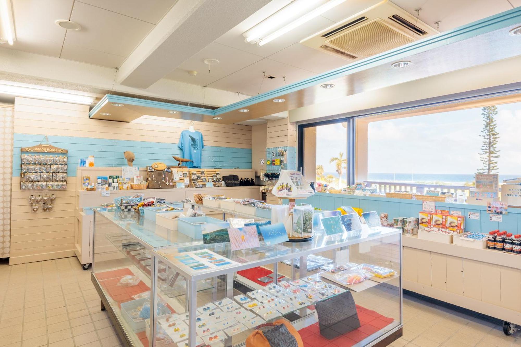 Suno 珊瑚棕榈旅馆酒店 外观 照片